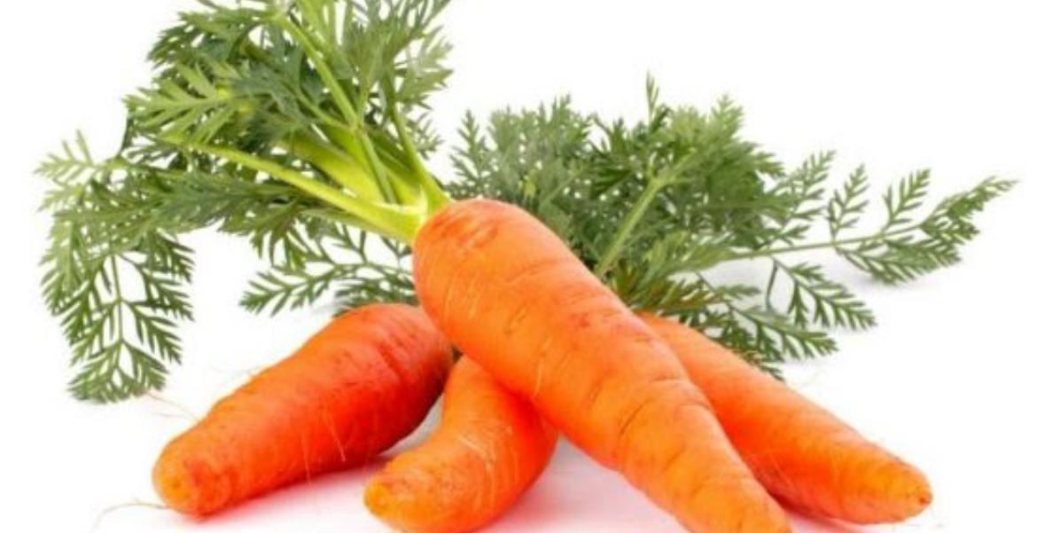 3pieces carrots soap byenblan